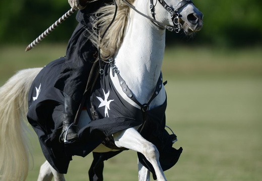 Equitazione